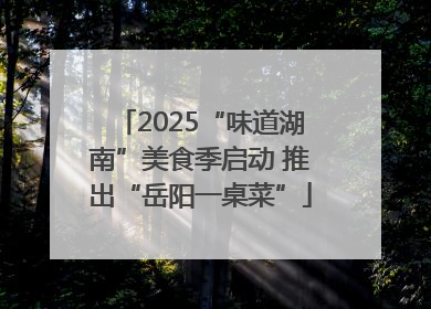 2025“味道湖南”美食季启动 推出“岳阳一桌菜”