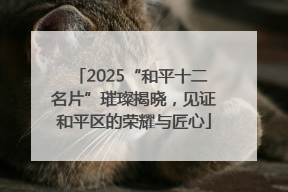2025“和平十二名片”璀璨揭晓，见证和平区的荣耀与匠心
