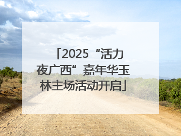 2025“活力夜广西”嘉年华玉林主场活动开启