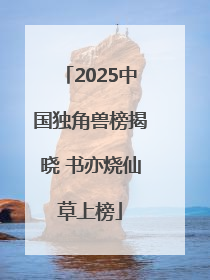 2025中国独角兽榜揭晓 书亦烧仙草上榜