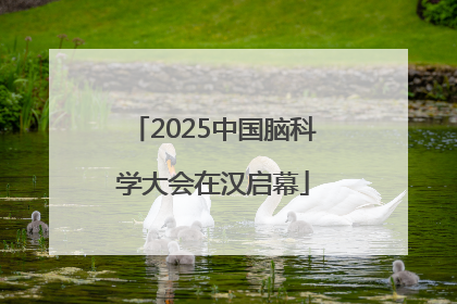 2025中国脑科学大会在汉启幕