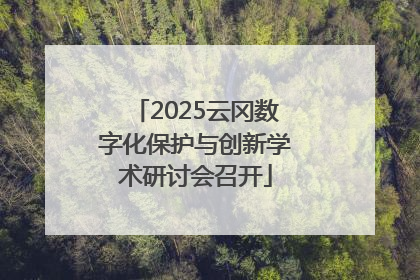 2025云冈数字化保护与创新学术研讨会召开