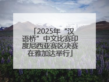 2025年“汉语桥”中文比赛印度尼西亚赛区决赛在雅加达举行