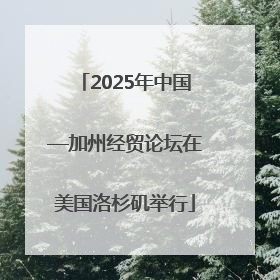 2025年中国—加州经贸论坛在美国洛杉矶举行