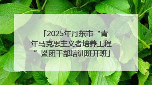 2025年丹东市“青年马克思主义者培养工程”暨团干部培训班开班