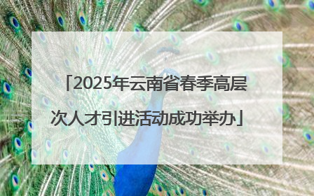 2025年云南省春季高层次人才引进活动成功举办