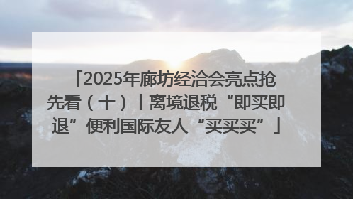 2025年廊坊经洽会亮点抢先看（十）丨离境退税“即买即退”便利国际友人“买买买”