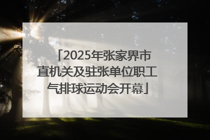 2025年张家界市直机关及驻张单位职工气排球运动会开幕