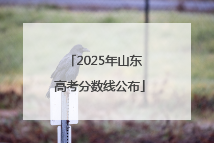 2025年山东高考分数线公布