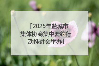 2025年盐城市集体协商集中要约行动推进会举办