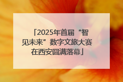 2025年首届“智见未来”数字文旅大赛在西安圆满落幕