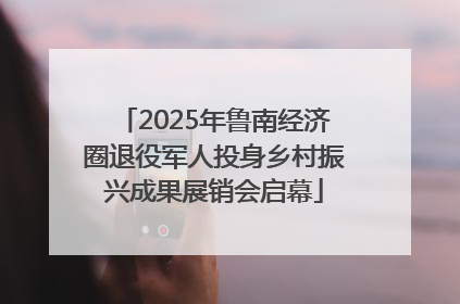 2025年鲁南经济圈退役军人投身乡村振兴成果展销会启幕