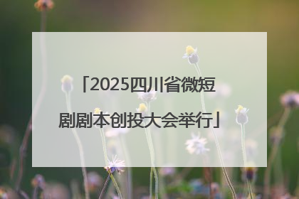 2025四川省微短剧剧本创投大会举行