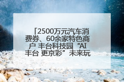 2500万元汽车消费券、60余家特色商户 丰台科技园“AI丰台 更京彩”未来玩家市集活动正式开幕