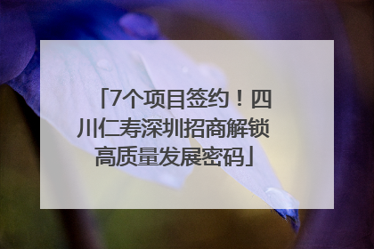7个项目签约！四川仁寿深圳招商解锁高质量发展密码