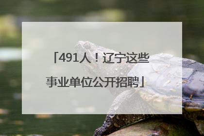 491人！辽宁这些事业单位公开招聘