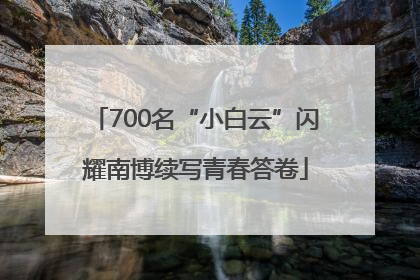 700名“小白云”闪耀南博续写青春答卷