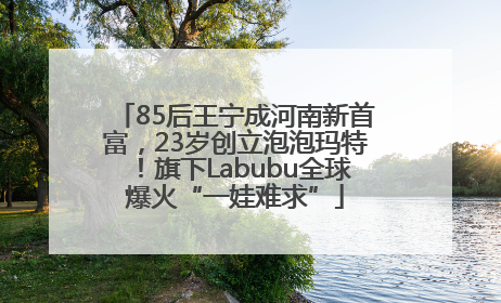 85后王宁成河南新首富，23岁创立泡泡玛特！旗下Labubu全球爆火“一娃难求”