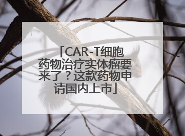 CAR-T细胞药物治疗实体瘤要来了？这款药物申请国内上市