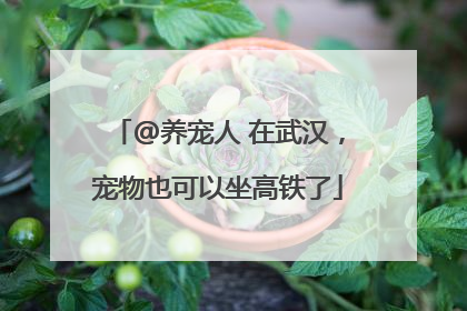 @养宠人 在武汉，宠物也可以坐高铁了