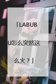 LABUBU怎么突然这么火？