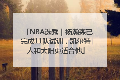 NBA选秀｜杨瀚森已完成11队试训，凯尔特人和太阳更适合他