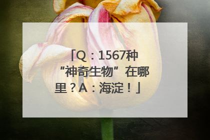 Q：1567种“神奇生物”在哪里？A：海淀！