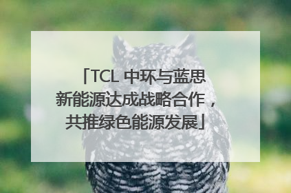 TCL 中环与蓝思新能源达成战略合作，共推绿色能源发展